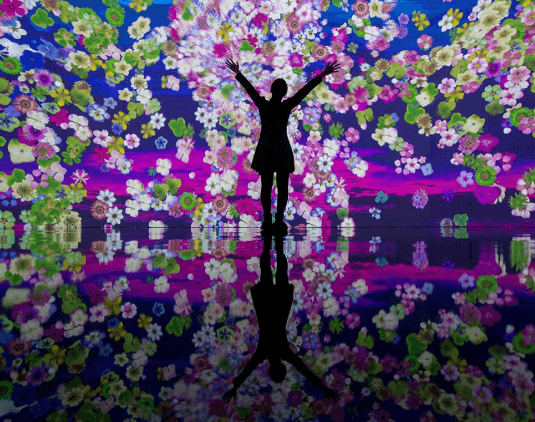 hanafubuki installation